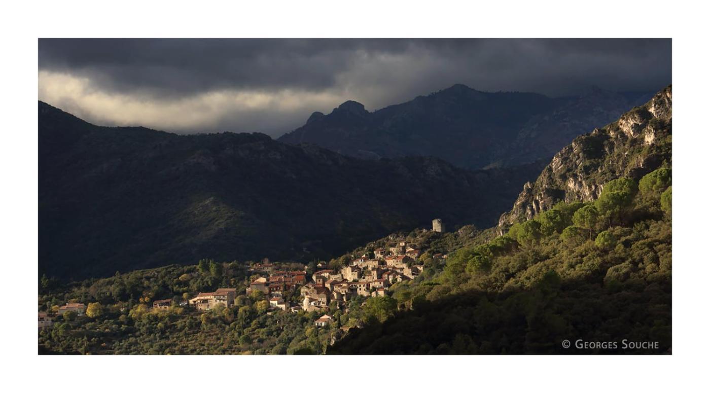 Villa Les Violettes Mons  Esterno foto